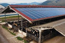 fotovoltaico su stalle e fabbricati