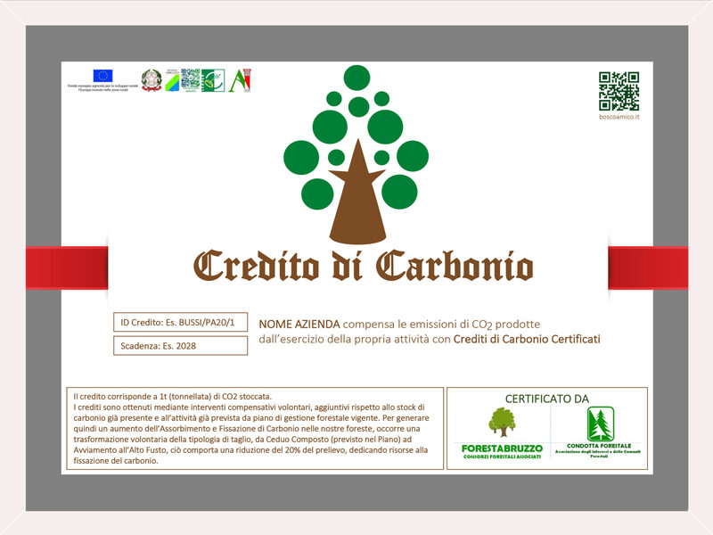 Certificato credito di carbonio