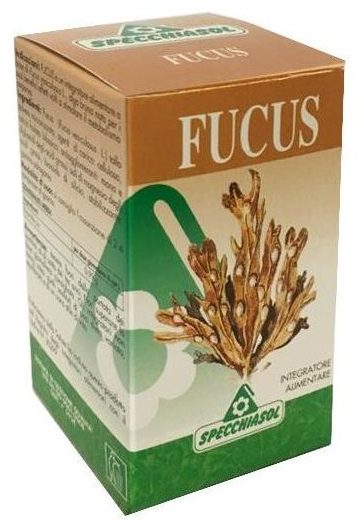 fucus