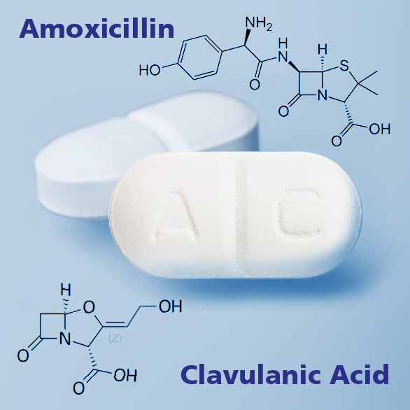 Amoxicilin and amoxicillin clavulanate