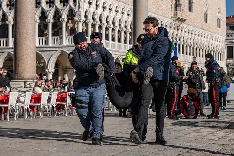 ambientaisti a venezia