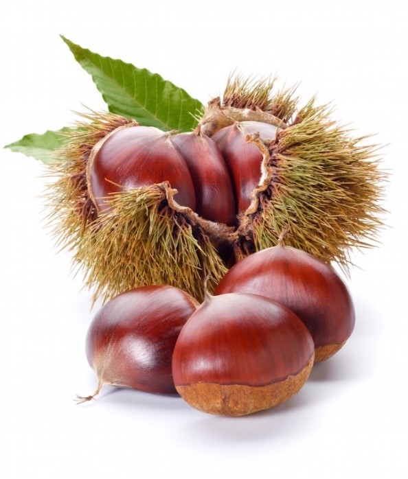 conservare le castagne