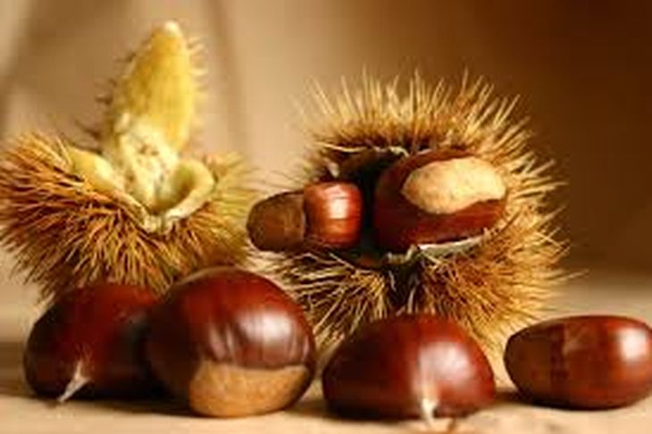 castagne