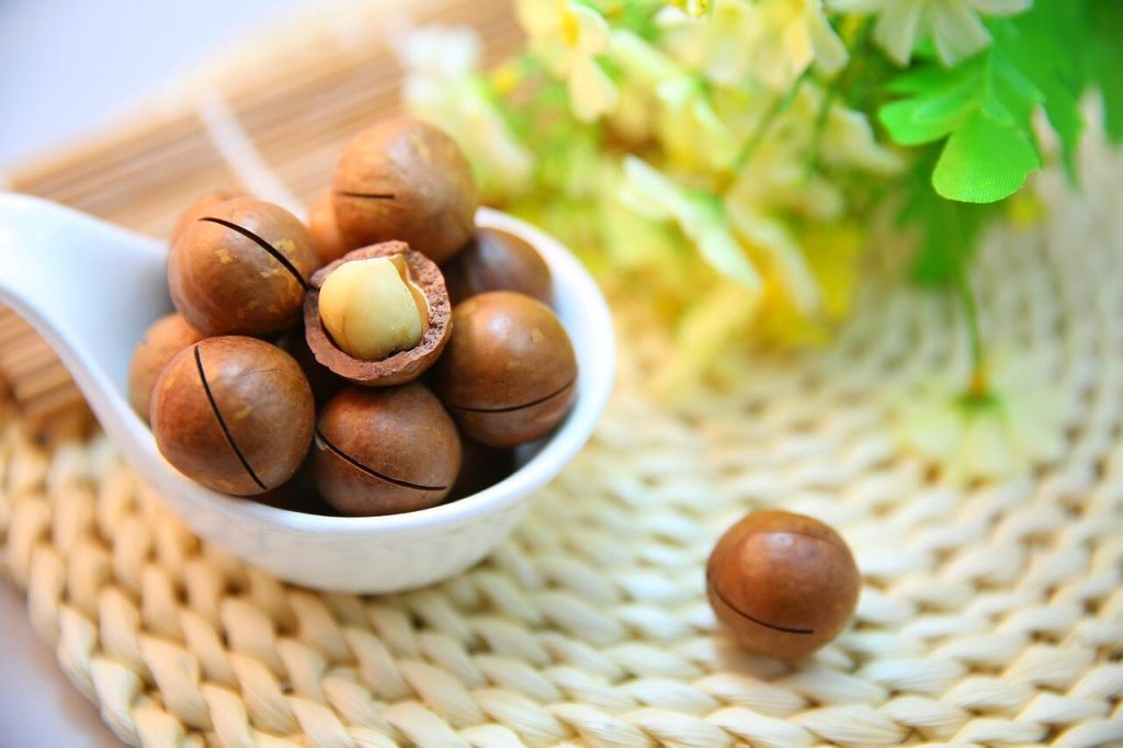 noci macadamia