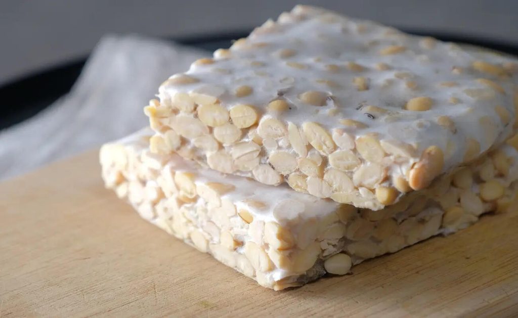 tempeh