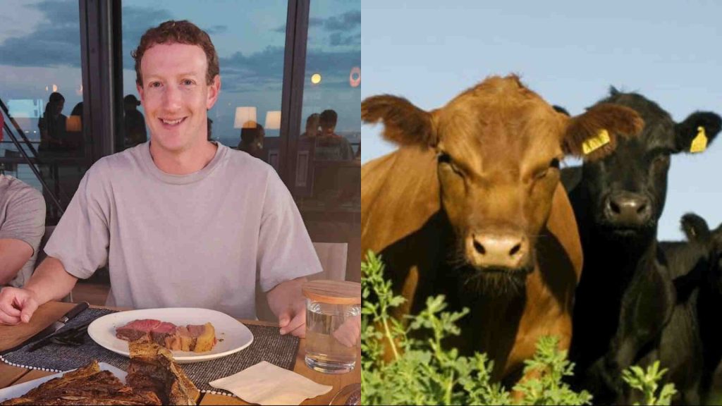 zuckerberg