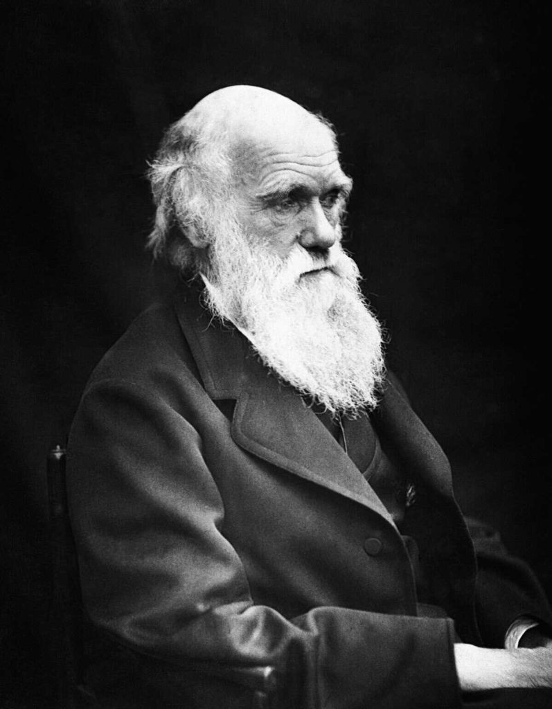 Charles Darwin 01 1