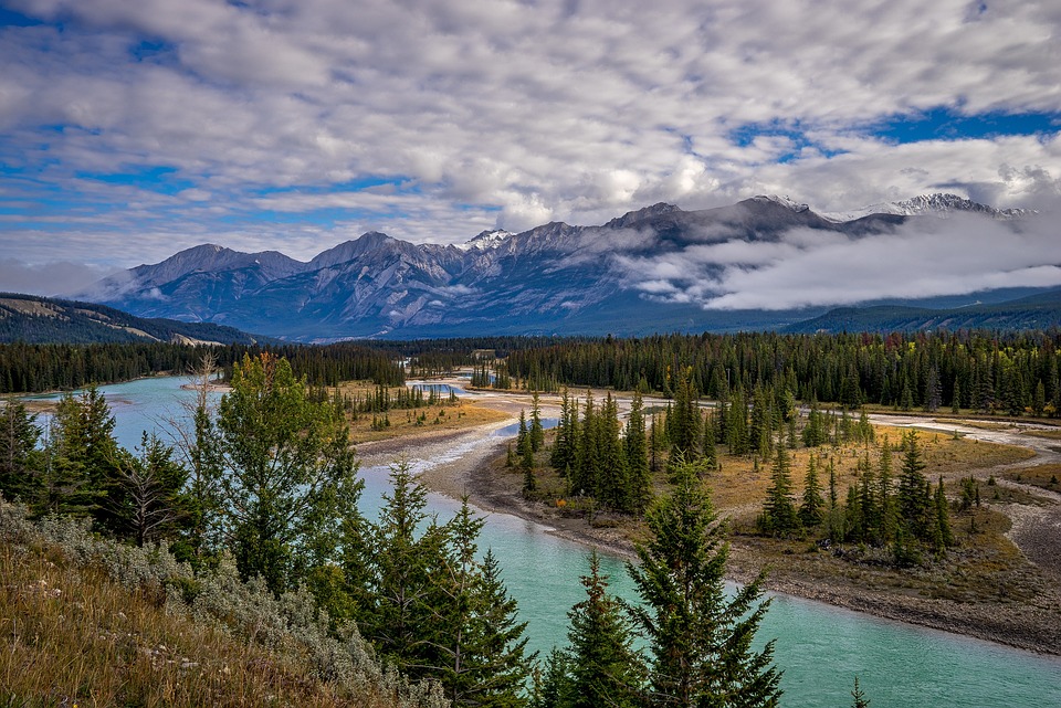 Dal BRasile al canada