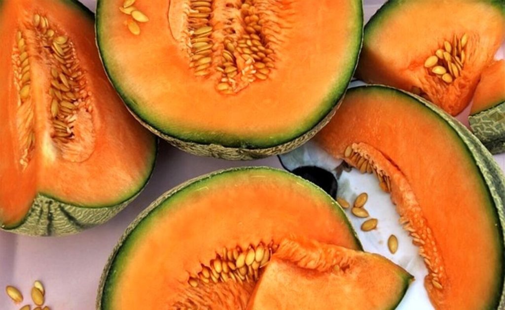 dolci al melone e altri frutti estivi