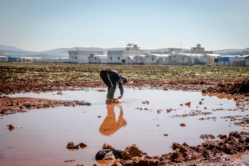 Ospitalità immigrazione Albania: foto archivio Pexels