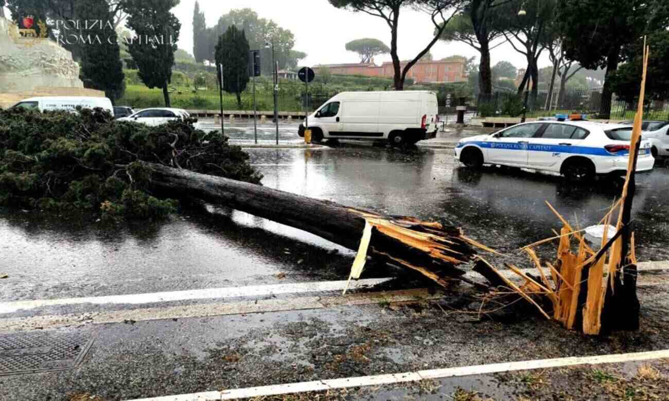 Maltempo a Roma, gli alberi caduti che mettono a rischio persone, auto e anche abitazioni