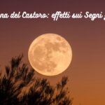 Luna Piena del Castoro effetti sui Segni Zodiacali