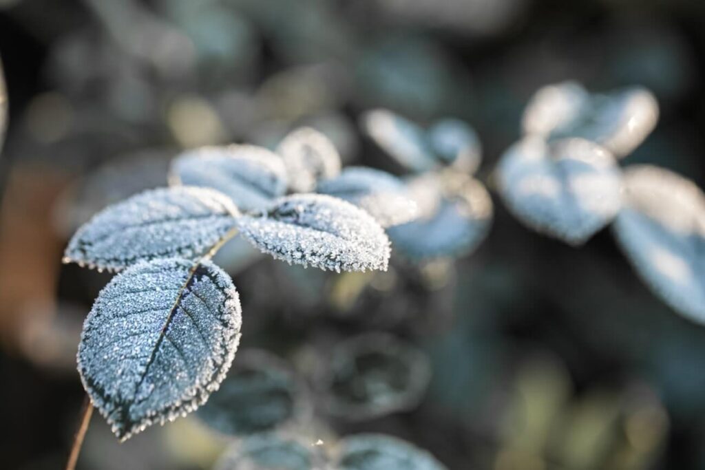 Meteo inverno