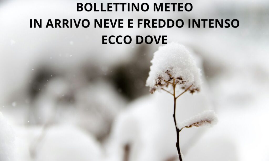 freddo-e-neve-meteo