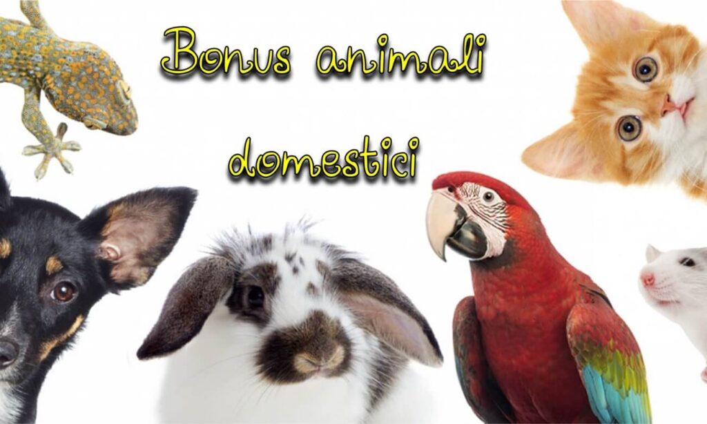 Bonus animalindomestici