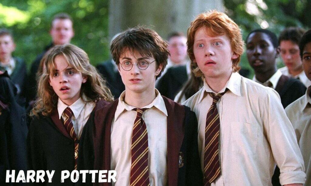 Harry Potter, la serie: annunciato il cast. Forti polemiche 1 Harry potter