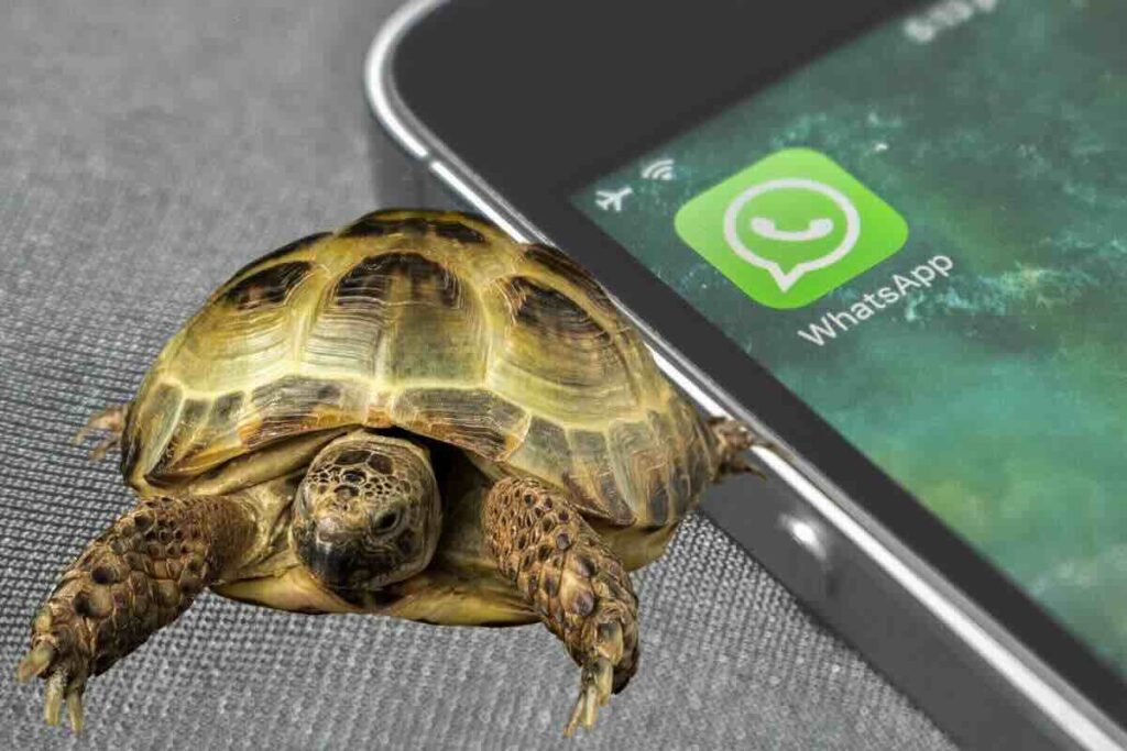 Come attivare modalità tartaruga