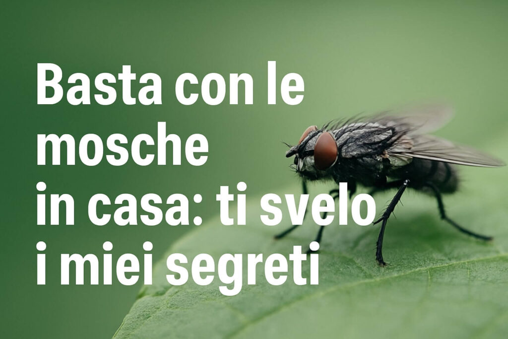 Rimedi naturali mosche